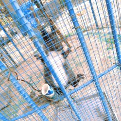 -萌宠亲子动物乐园(槐房万达店)