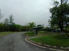 -白鹭湾湿地公园