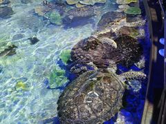-福州罗源湾海洋世界旅游区