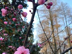 -月湖风景区