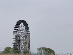 -太湖湖滨国家湿地公园-停车场