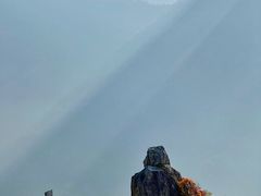 -秦岭终南山世界地质公园翠华山景区