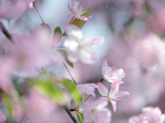 -贵阳市花溪国家城市湿地公园