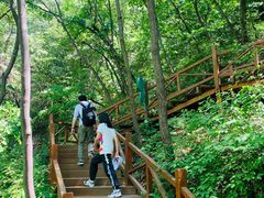 -大岭沟猕猴桃谷风景区