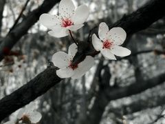 -皇家御河游(紫御湾码头)