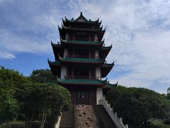 -桂湖森林公园