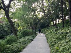 -扬州大运河文化旅游度假区·盆景园