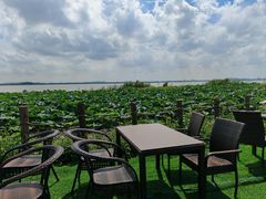 -七的湖·晚芳亭·阳澄湖农家菜·大闸蟹(莲花岛店)