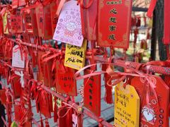 -香山公园