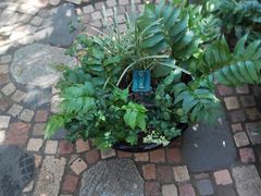 -三鹰之森吉卜力美术馆