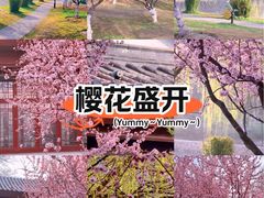 -堤角公园