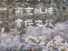-南京城墙景区