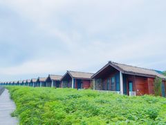 -月坨岛华清月府温泉酒店