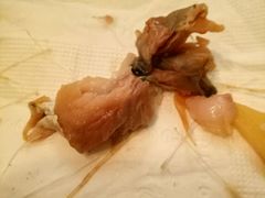 -啡客咖啡(澧州路店)