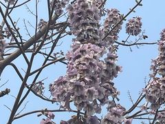 -太阳宫公园