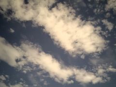 -北京颐和宾馆