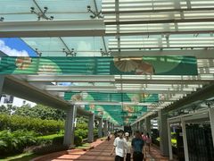 -香港大学