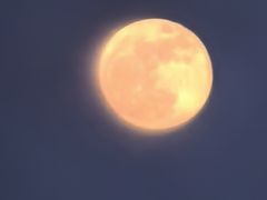 -二姐家三个拿手菜·北塘海鲜·大馅锅贴王(成林道店)