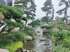 -罗红摄影艺术馆