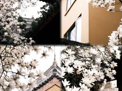 -龙华寺