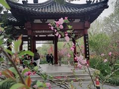 -南汇桃花村