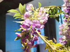 -春申里餐厅(银泰in99店)