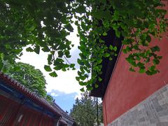 -大觉寺-停车场