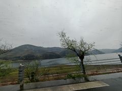 -花岙岛