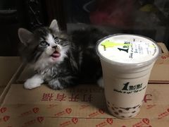 -1点点(金桥店)