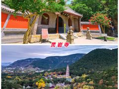 -趵突泉景区