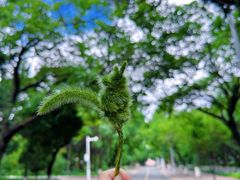 -吉林大学(南岭校区)