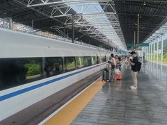 -郴州特产舜华临武鸭(郴州西站店)