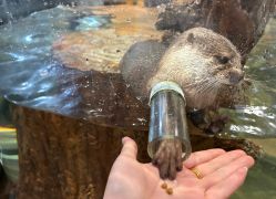 -Zoolung Zoolung动物主题公园(海信广场店)