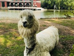 -银树楼(紫玉山庄东区店)