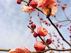 -蜀冈西峰生态公园