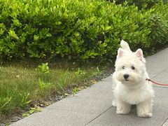 -中粮·祥云小镇