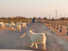 -亿利库布其七星湖沙漠生态旅游区