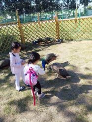 -萌宠亲子动物乐园(槐房万达店)