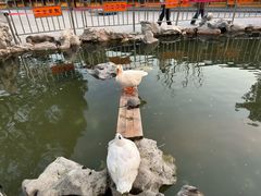 -龙华寺