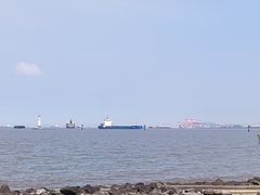 -上海吴淞炮台湾国家湿地公园