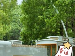 -日照海滨国家森林公园