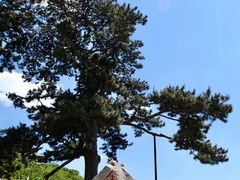 -妙峰山风景名胜区