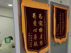 -艾吉宠物医院·疑难杂症转诊中心·猫友好(碧江路院)