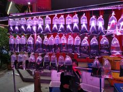 -华声天桥民俗文化园