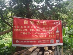 -羚羊峡古栈道森林公园