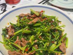 香菜炒牛肉-壹盏灯(惠农店)