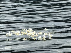 -丽江泸沽湖景区