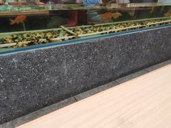 -令狐冲烤鱼·烧菜馆(达明店)