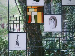 -杭州西湖风景名胜区-北街寻梦
