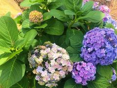 -人民公园(罗湖区)